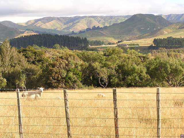 NZ leden-unor 2006 090.jpg